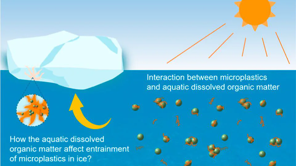 Role of Aquatic Dissolved Organic Matter in the Entrainment of Microplastics under Freezing Conditions