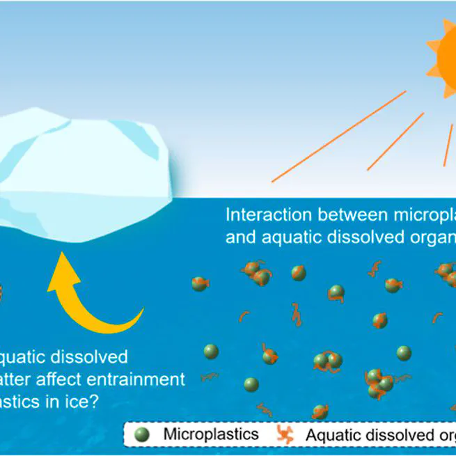 Role of Aquatic Dissolved Organic Matter in the Entrainment of Microplastics under Freezing Conditions