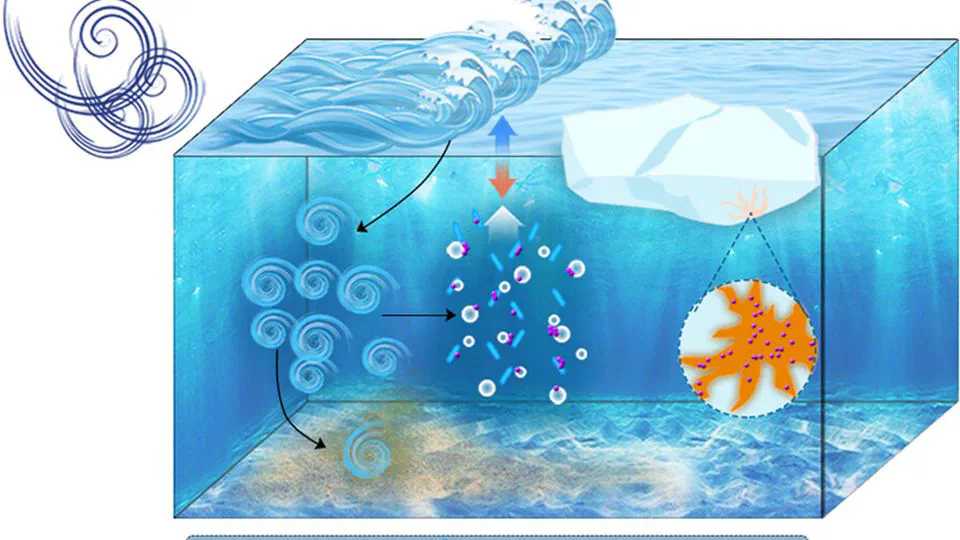 Entrainment and enrichment of microplastics in ice formation processes: Implications for the transport of microplastics in cold regions