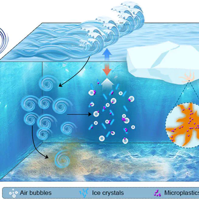 Entrainment and enrichment of microplastics in ice formation processes: Implications for the transport of microplastics in cold regions