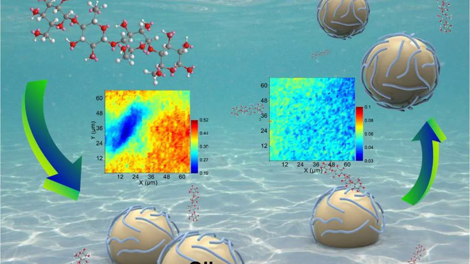 Exploring the use of cellulose nanocrystal as surface-washing agent for oiled shoreline cleanup