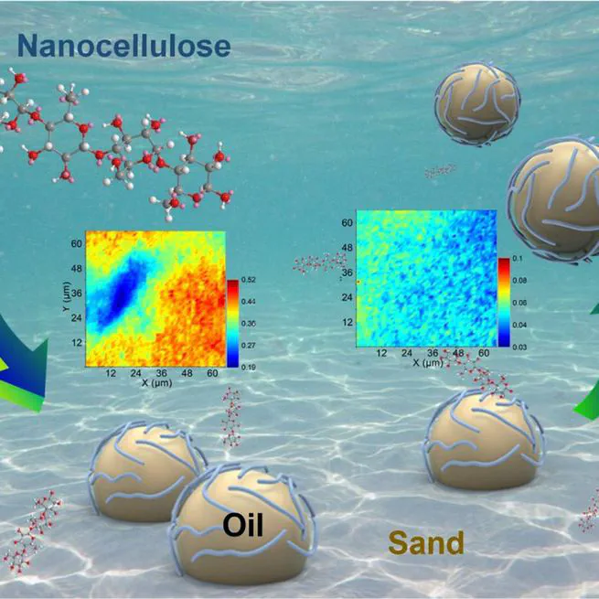 Exploring the use of cellulose nanocrystal as surface-washing agent for oiled shoreline cleanup