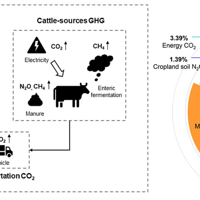 Assessment of regional greenhouse gas emission from beef cattle production: a case study of Saskatchewan in Canada