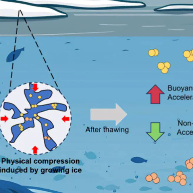 Revealing the Freezing-Induced Alteration in Microplastic Behavior and Its Implication for the Microplastics Released from Seasonal Ice